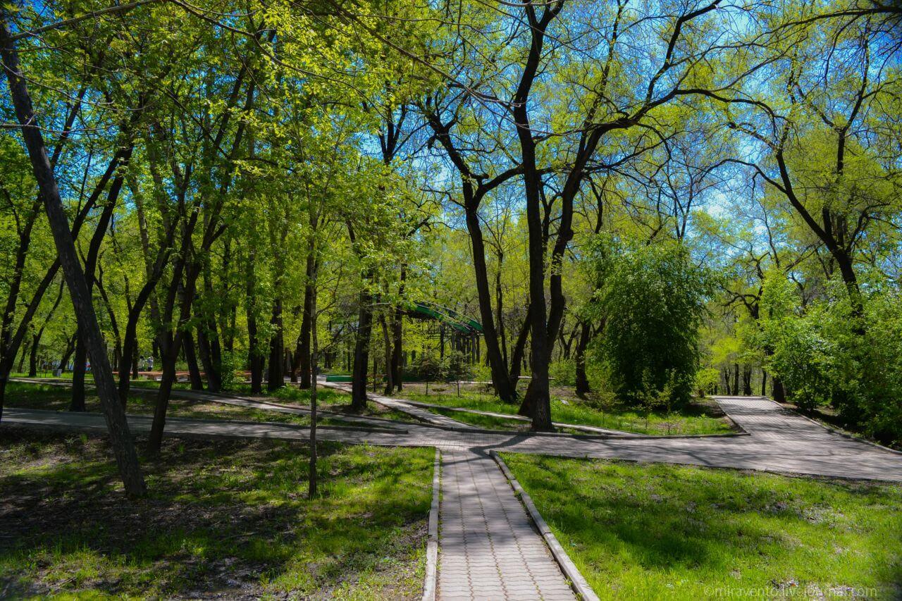 парк северный в хабаровске